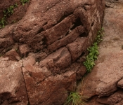 2018 09 30 NorthShore 050